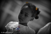 /album/fotogalerij/dsc-0326-C-bewerkt-jpg/